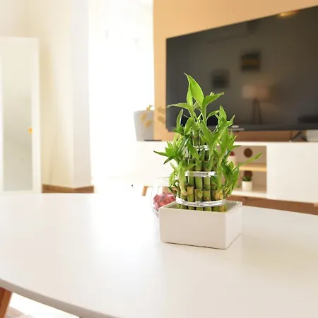 Lola Apartman